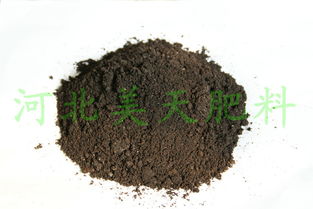 河北美天集團 以科技創(chuàng)新引領(lǐng)質(zhì)高效生物有機肥料研發(fā)，助推綠色農(nóng)業(yè)可持續(xù)發(fā)展