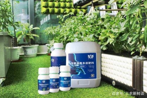 皇圖生態農業 立足魚肽有機肥自主研發，引領綠色種植新革命